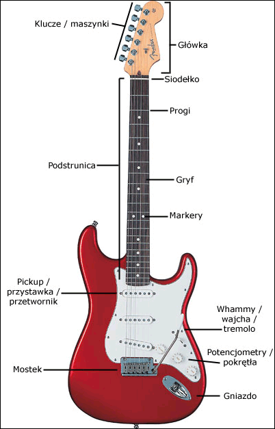 Gitara Elektryczna Dla Pocz Tkuj Cych